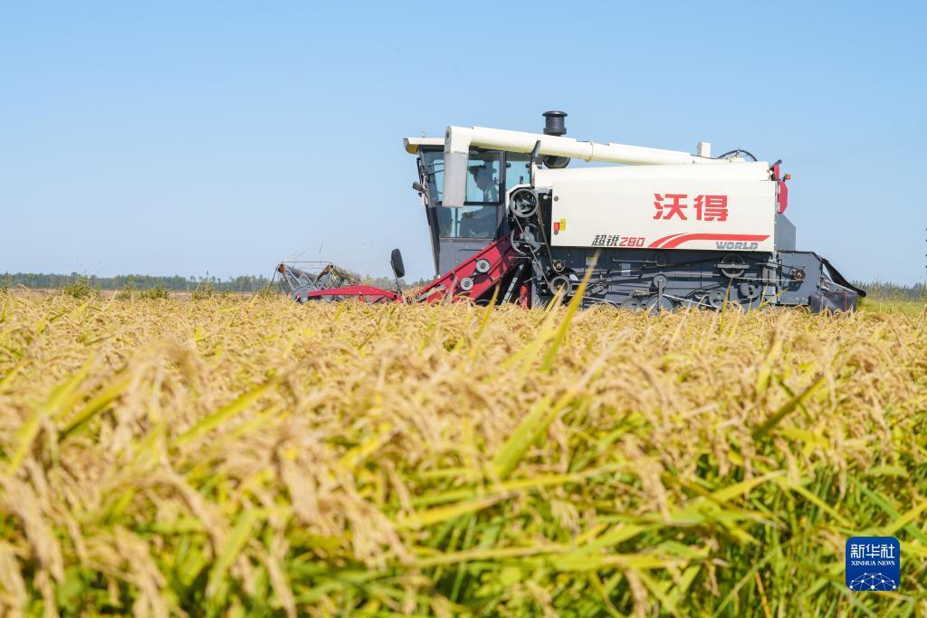利记娱乐怎么样